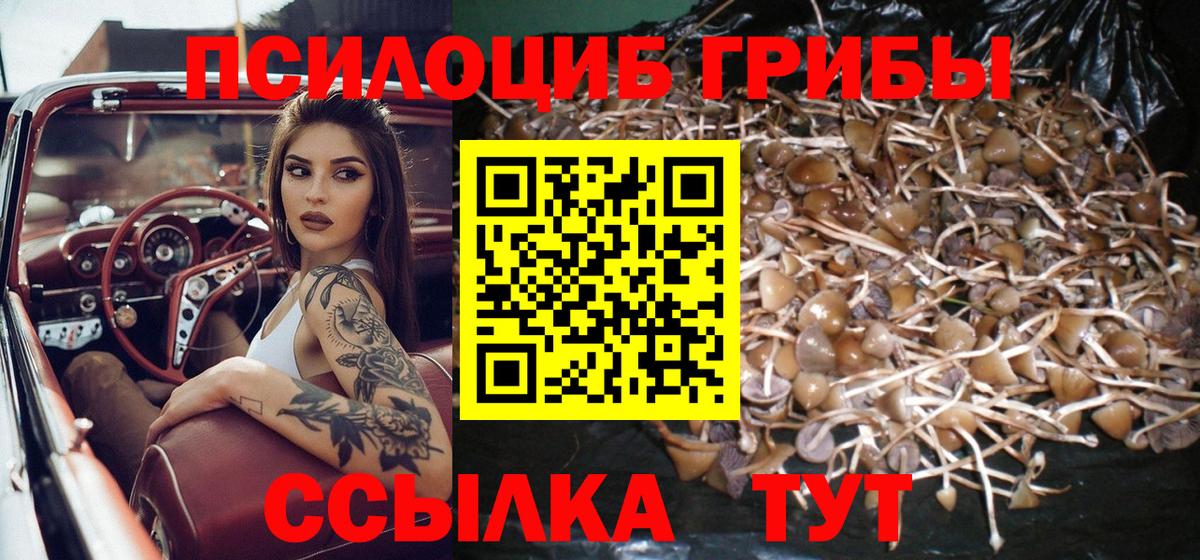 Орёл  Галлюциногенные грибы MAGIC MUSHROOMS  Вход с VPN  дарнет шоп  Галлюциногенные грибы Magic Shrooms 